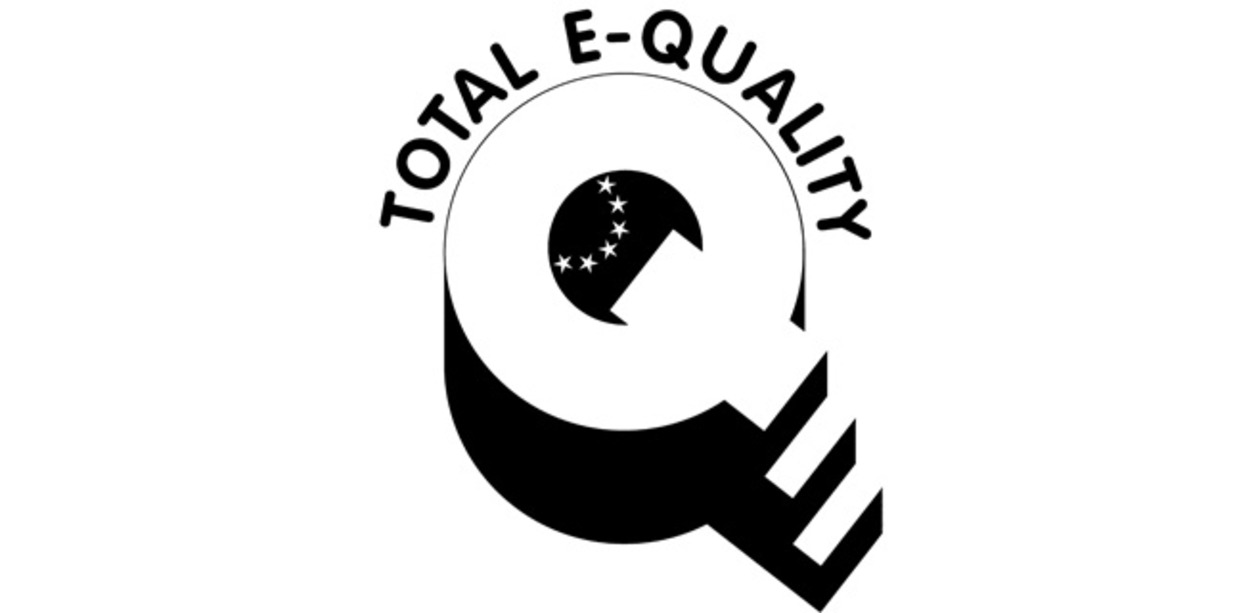 Pressemitteilung Total E-Quality